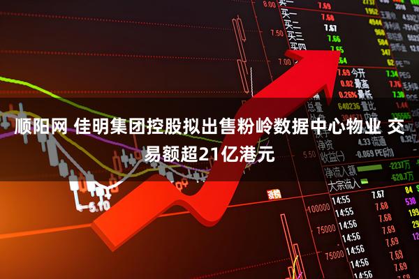 顺阳网 佳明集团控股拟出售粉岭数据中心物业 交易额超21亿港元