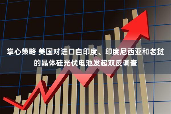 掌心策略 美国对进口自印度、印度尼西亚和老挝的晶体硅光伏电池发起双反调查